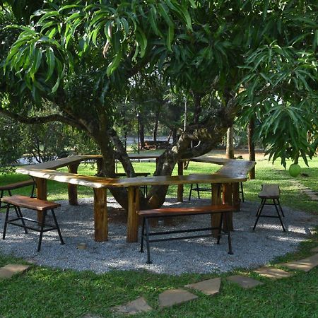 Scenic Acres Holiday Home Chikmagalūr Extérieur photo